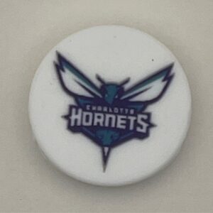Charlotte Hornets (sp)